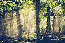 Old cemetery. Selective focus. - locrifa - stock.adobe.com