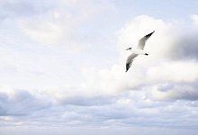 Testament - by-studio - Fotolia