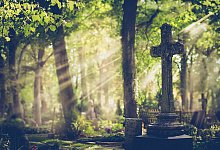 Old cemetery. Selective focus. - locrifa - stock.adobe.com